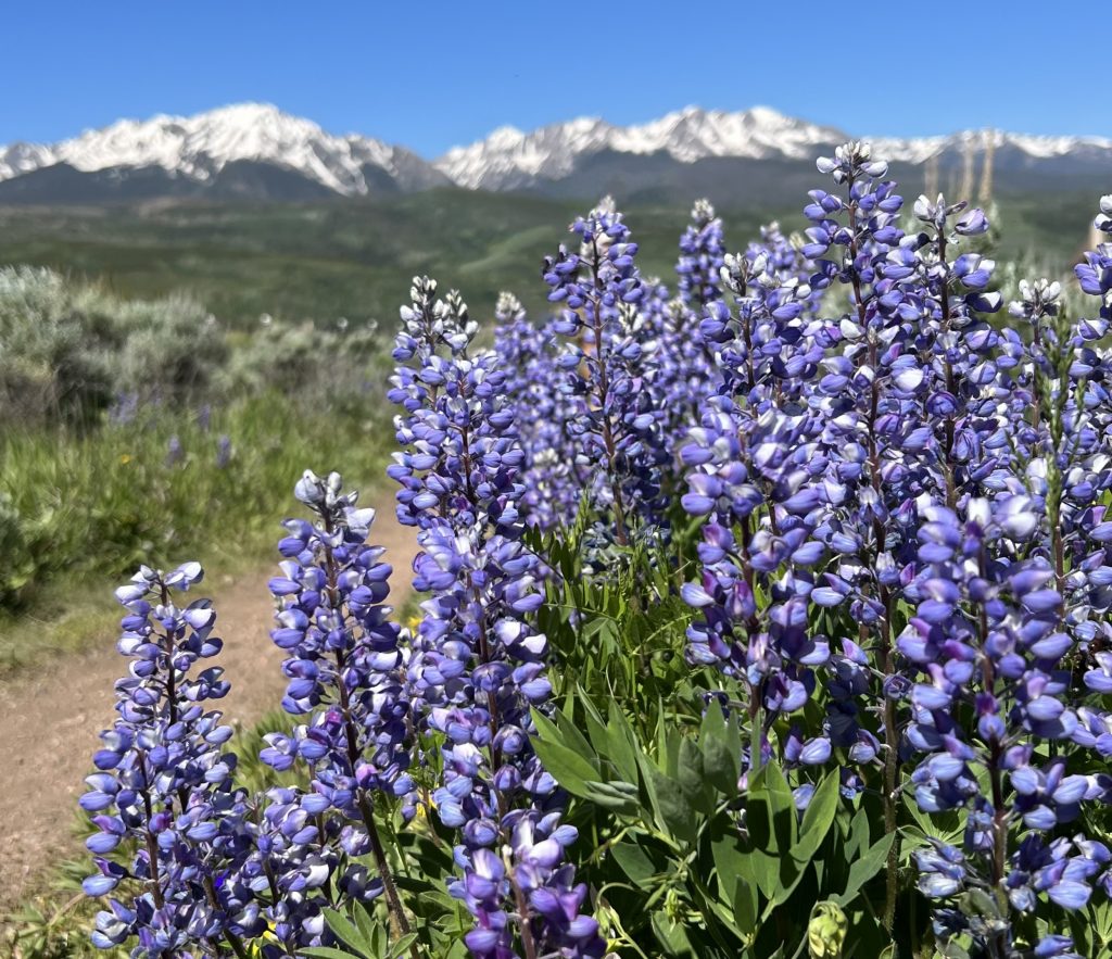 Robert Tann/Summit Daily News